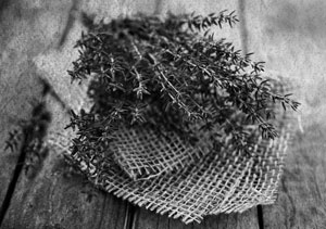 Советское домоводство Советское домоводство