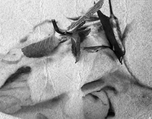 Советское домоводство Советское домоводство