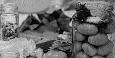 Советское домоводство Советское домоводство