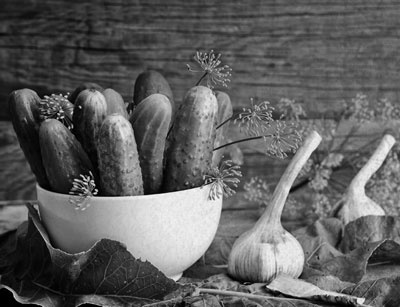 Советское домоводство Советское домоводство