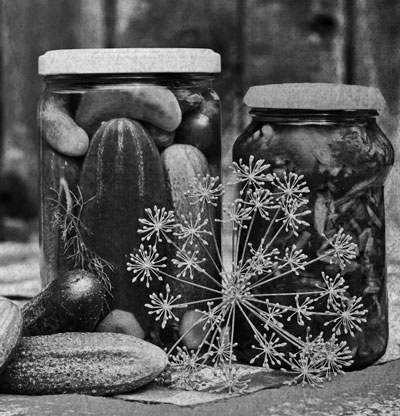 Советское домоводство Советское домоводство