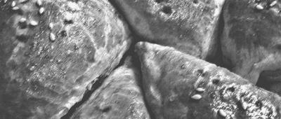 Пироги. Большая книга рецептов Пироги. Большая книга рецептов