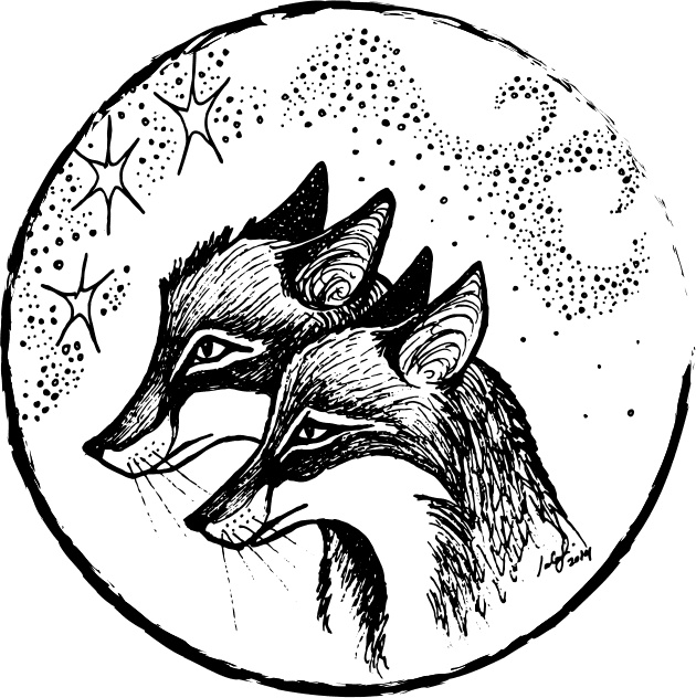 Foxcraft. Книга 1. Зачарованные