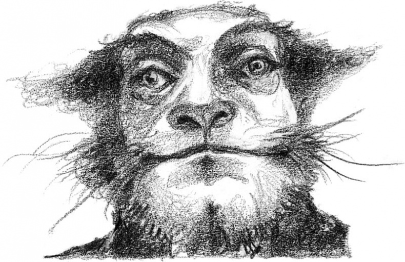 Бесшабашный. Книга 3. Золотая пряжа