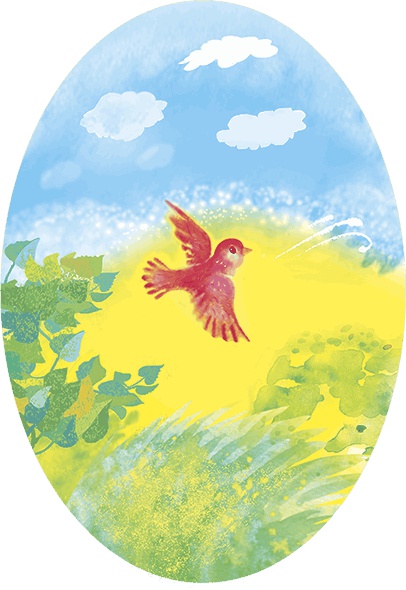 Солнечная полянка Солнечная полянка