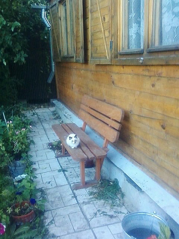 Невская маскарадная (сборник) Невская маскарадная (сборник)