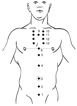 Лечебный массаж внутренних органов Лечебный массаж внутренних органов