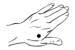 Лечебный массаж внутренних органов Лечебный массаж внутренних органов