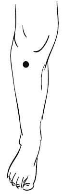 Лечебный массаж внутренних органов Лечебный массаж внутренних органов