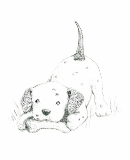 Щенок Оскар, или Секрет счастливого Рождества Щенок Оскар, или Секрет счастливого Рождества