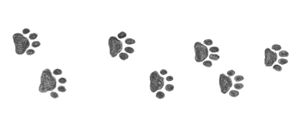 Щенок Оскар, или Секрет счастливого Рождества Щенок Оскар, или Секрет счастливого Рождества