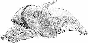 Последний подарок Последний подарок