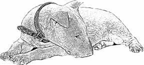 Последний подарок Последний подарок