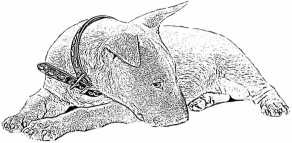 Последний подарок Последний подарок