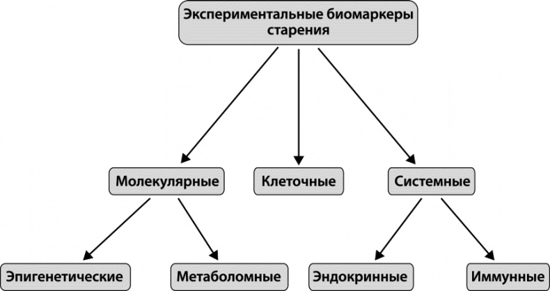 Как победить свой возраст? 8 уникальных способов, которые помогут достичь долголетия Как победить свой возраст? 8 уникальных способов, которые помогут достичь долголетия