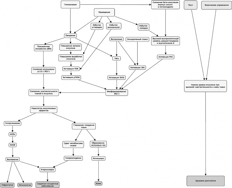Как победить свой возраст? 8 уникальных способов, которые помогут достичь долголетия Как победить свой возраст? 8 уникальных способов, которые помогут достичь долголетия