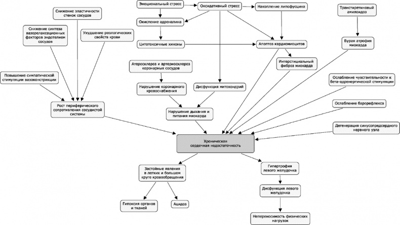 Как победить свой возраст? 8 уникальных способов, которые помогут достичь долголетия
