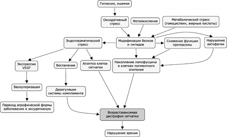 Как победить свой возраст? 8 уникальных способов, которые помогут достичь долголетия Как победить свой возраст? 8 уникальных способов, которые помогут достичь долголетия