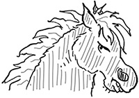 Подруги навсегда! Подруги навсегда!