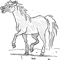 Подруги навсегда! Подруги навсегда!