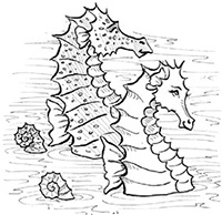 Подруги навсегда! Подруги навсегда!