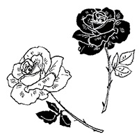 Моя сестра Джоди Моя сестра Джоди