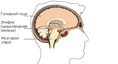 Кластеры Кластеры