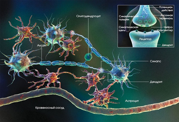 Кластеры Кластеры