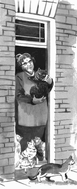 Боб – необычный кот Боб – необычный кот