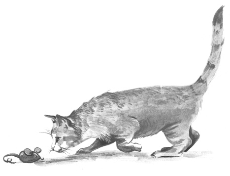 Боб – необычный кот Боб – необычный кот