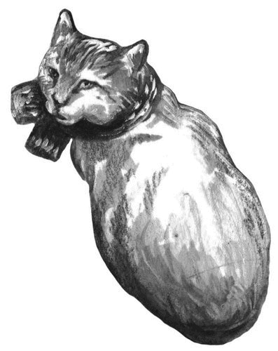 Боб – необычный кот Боб – необычный кот