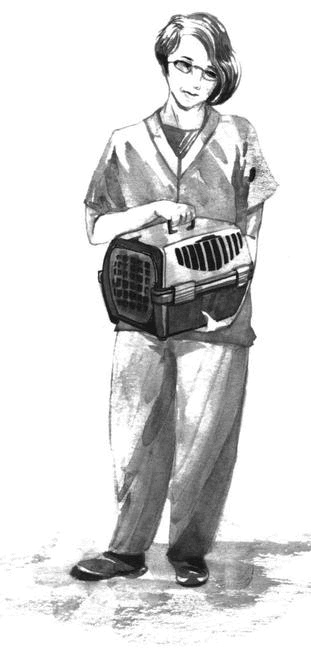 Боб – необычный кот Боб – необычный кот