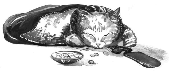 Боб – необычный кот Боб – необычный кот