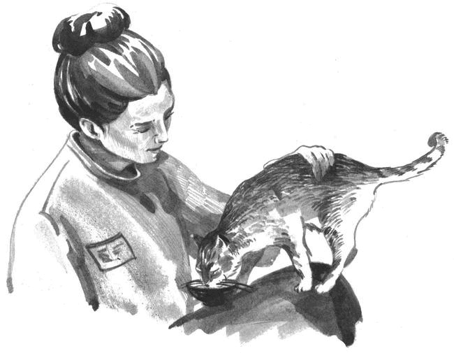 Боб – необычный кот Боб – необычный кот