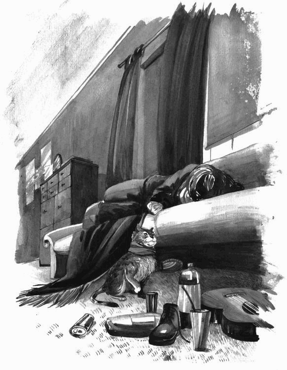 Боб – необычный кот Боб – необычный кот