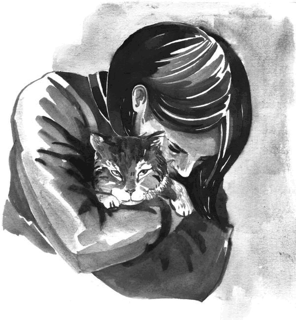 Боб – необычный кот Боб – необычный кот