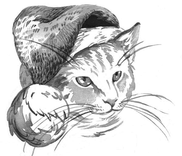 Боб – необычный кот Боб – необычный кот