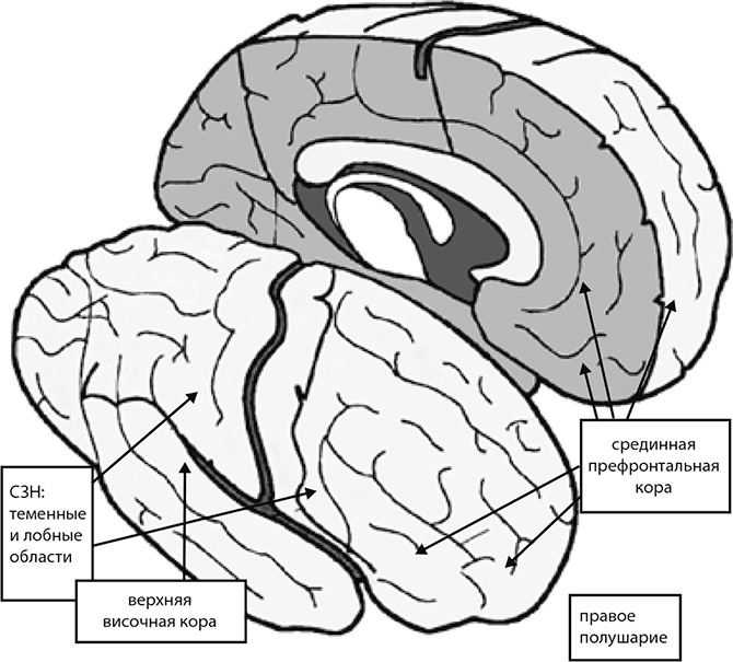 Внимательный мозг. Научный взгляд на медитацию