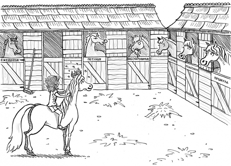 День рождения пони День рождения пони