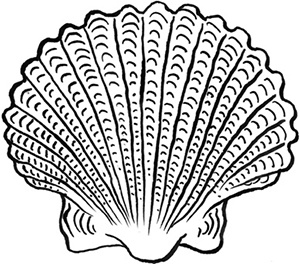 День рождения пони День рождения пони