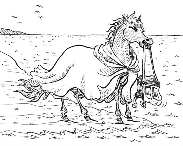 День рождения пони День рождения пони