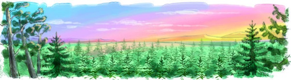 Боцман, бурундук, кот и крыса. Сказка для детей и всех остальных Боцман, бурундук, кот и крыса. Сказка для детей и всех остальных