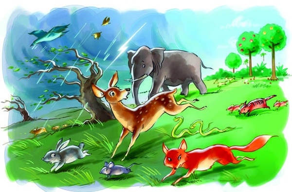 Боцман, бурундук, кот и крыса. Сказка для детей и всех остальных Боцман, бурундук, кот и крыса. Сказка для детей и всех остальных