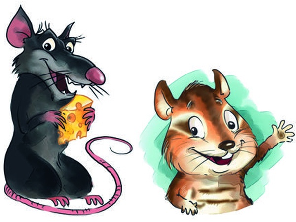 Боцман, бурундук, кот и крыса. Сказка для детей и всех остальных Боцман, бурундук, кот и крыса. Сказка для детей и всех остальных