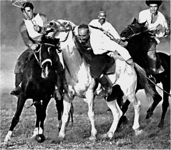 Сага о Великой Степи