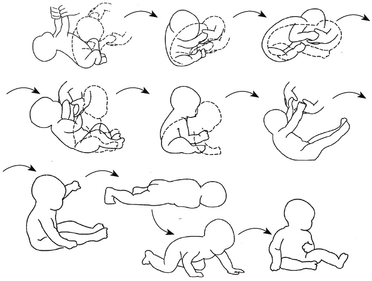 Первый год жизни решает все! 365 секретов правильного развития. Этот удивительный младенец