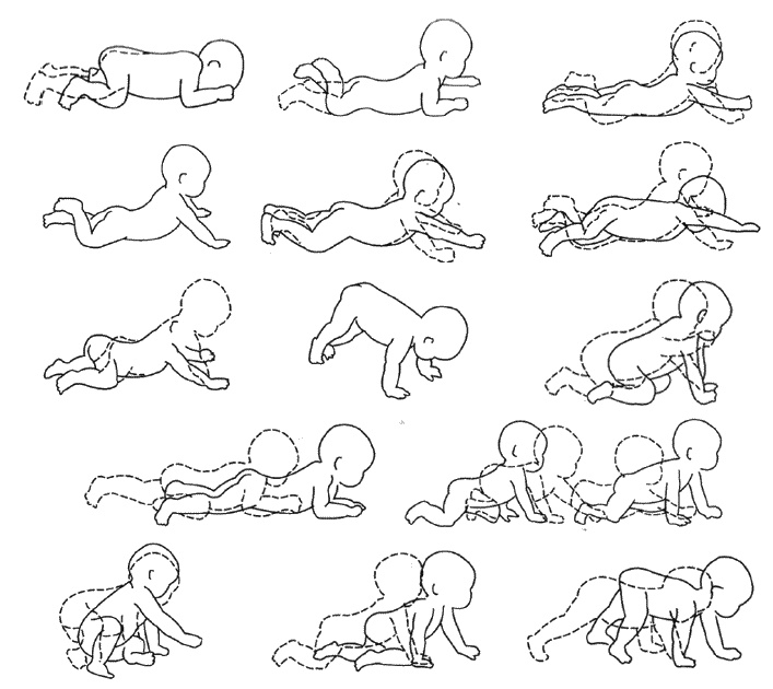 Первый год жизни решает все! 365 секретов правильного развития. Этот удивительный младенец