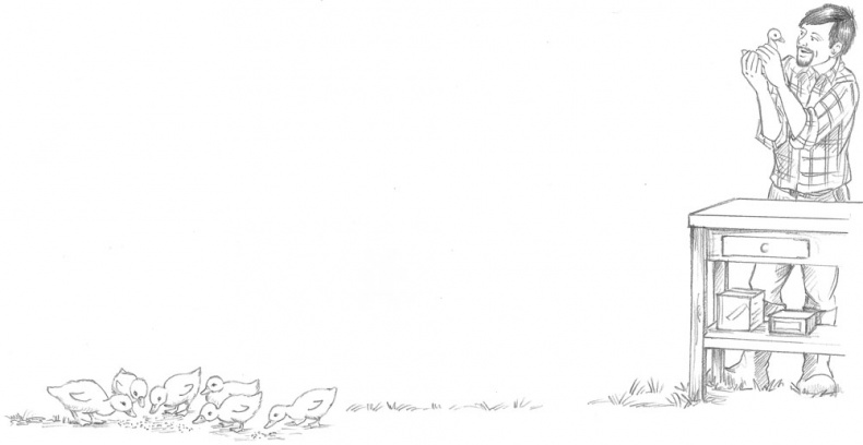 Утёнок Элли, или Украденный праздник Утёнок Элли, или Украденный праздник