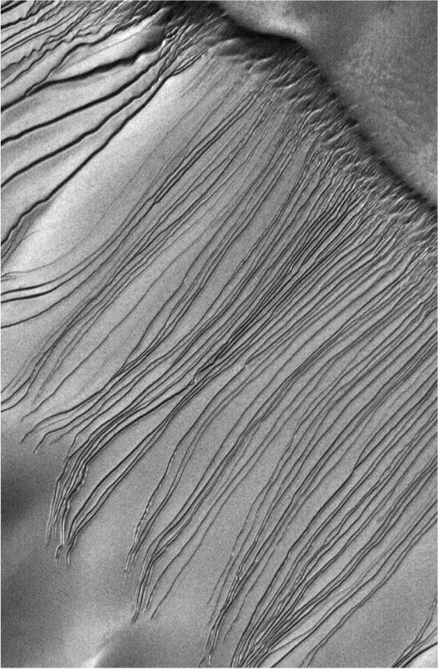 Последний космический шанс Последний космический шанс