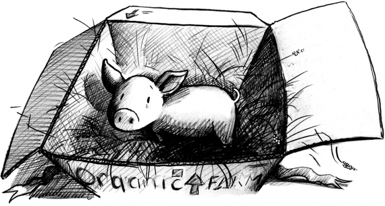 Джордж и тайны Вселенной Джордж и тайны Вселенной